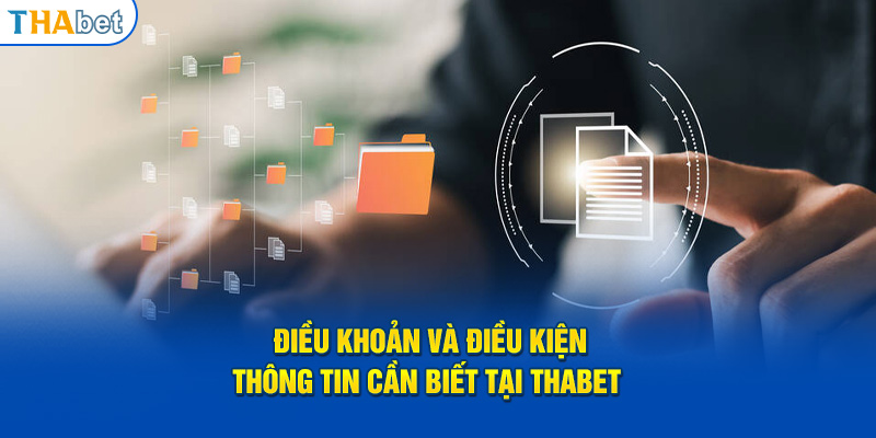 Tầm quan trọng của điều khoản và điều kiện nhất định phải biết 